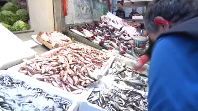 Film Gibi? Amerikalı Gencin İstanbul’da Kapkaç ile Başlayan Aşk Hikayesi
