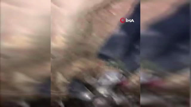 İstanbul’da Define Avcıları Suçüstü Yakalandı: 4 Gözaltı