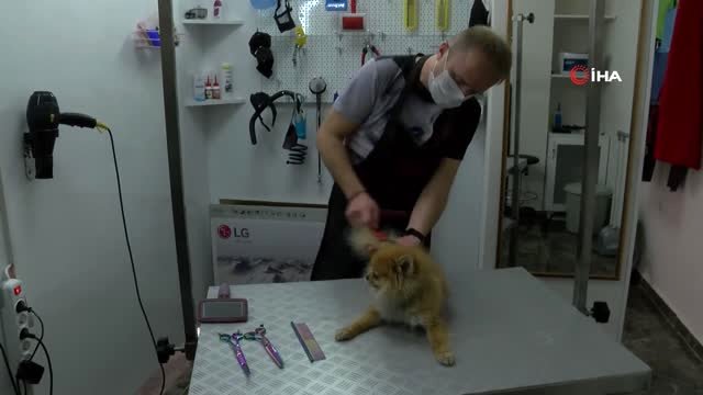 Sakarya’da İlk Kez Açılan ve Çevre İllerin İhtiyacını Karşılayacak Olan Pet Kuaförü Hizmete Vermeye…