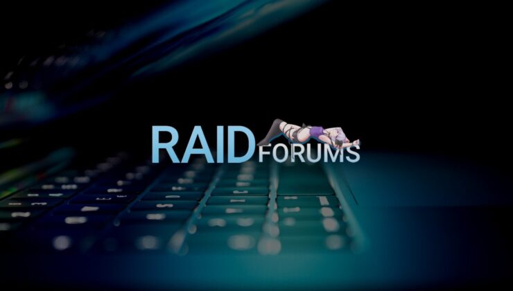 Hollanda Polisi, Eski RaidForums Üyesi Siber Hatalılara E-Posta Gönderdi